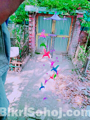 Pakhi